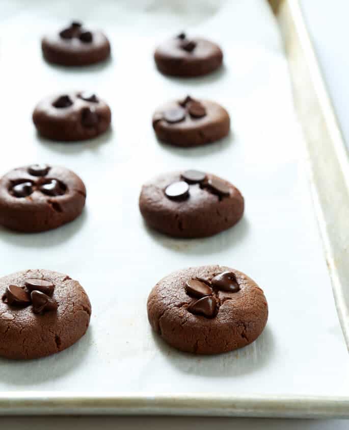 These flourless chocolate peanut butter breakfast cookies are gluten free, grain free, dairy free, packed with protein and a great start to the day!