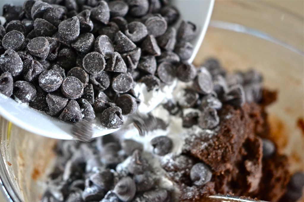 Gluten Free Chocolate Chocolate Chip Cookies in a Jar Gluten Free Chocolate Chocolate Chip Cookies in a Jar
