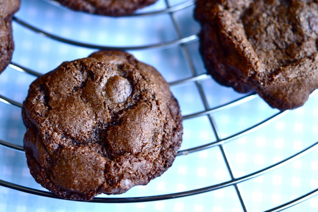 Gluten Free Chocolate Chocolate Chip Cookies in a Jar Gluten Free Chocolate Chocolate Chip Cookies in a Jar