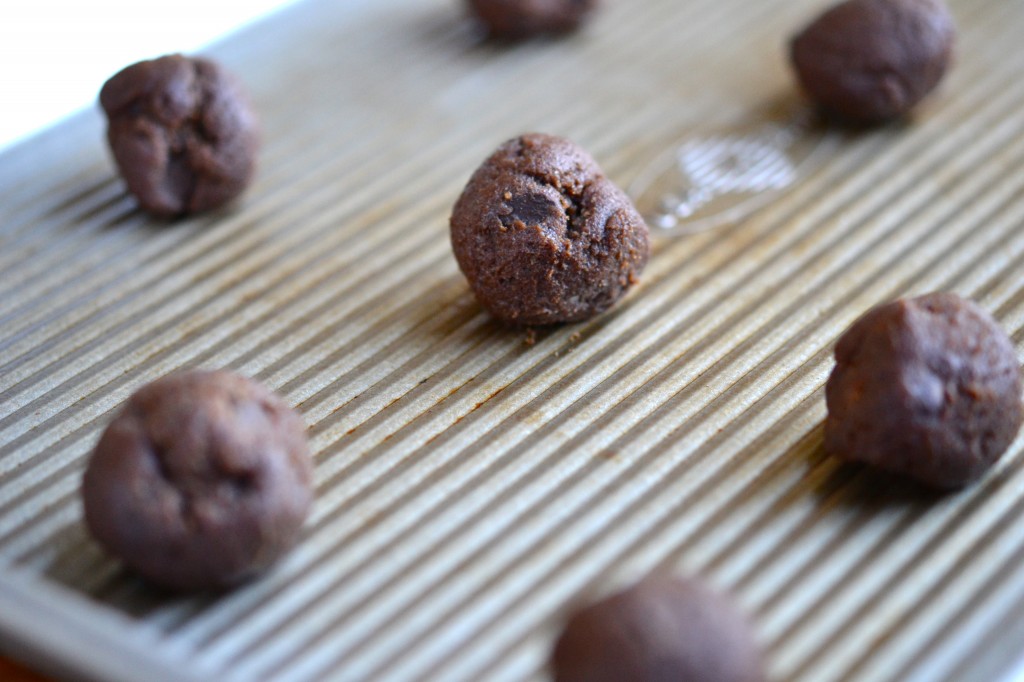 Gluten Free Chocolate Chocolate Chip Cookies in a Jar Gluten Free Chocolate Chocolate Chip Cookies in a Jar