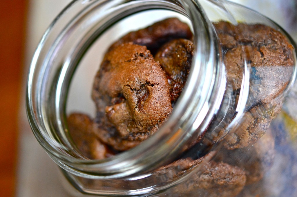 Gluten Free Chocolate Chocolate Chip Cookies in a Jar Gluten Free Chocolate Chocolate Chip Cookies in a Jar