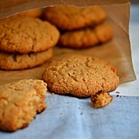 Thumbnail image for Peanut Butter Cookies from a Cake Mix – a Gluten-Free on a Shoestring Quick & Easy sneak peek!