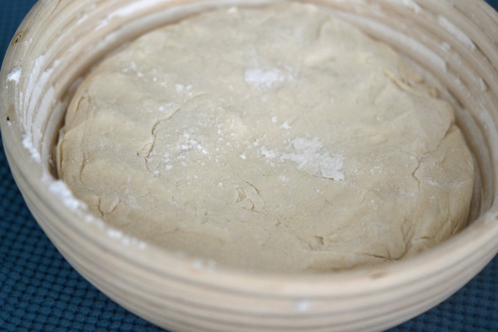 Artisan Gluten Free Bread in a proofing basket or banetton Artisan Gluten Free Bread in a proofing basket or banetton