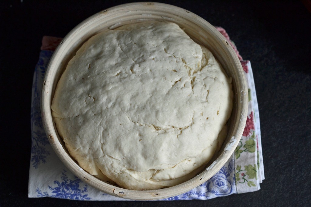 Artisan Gluten Free Bread in a proofing basket or banetton Artisan Gluten Free Bread in a proofing basket or banetton