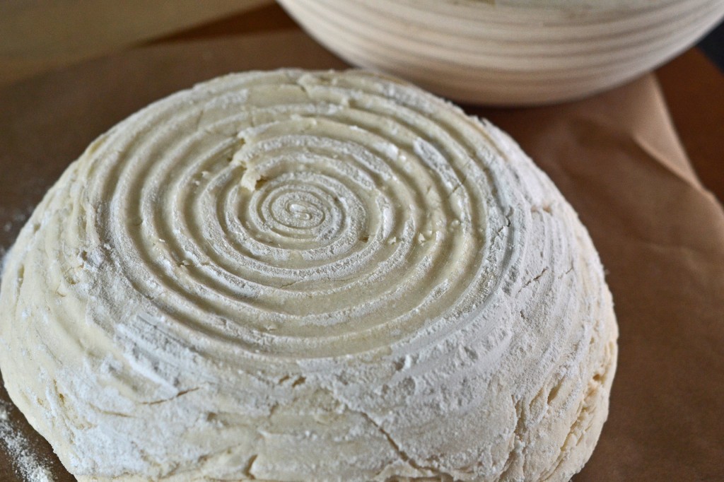 Artisan Gluten Free Bread in a proofing basket or banetton Artisan Gluten Free Bread in a proofing basket or banetton