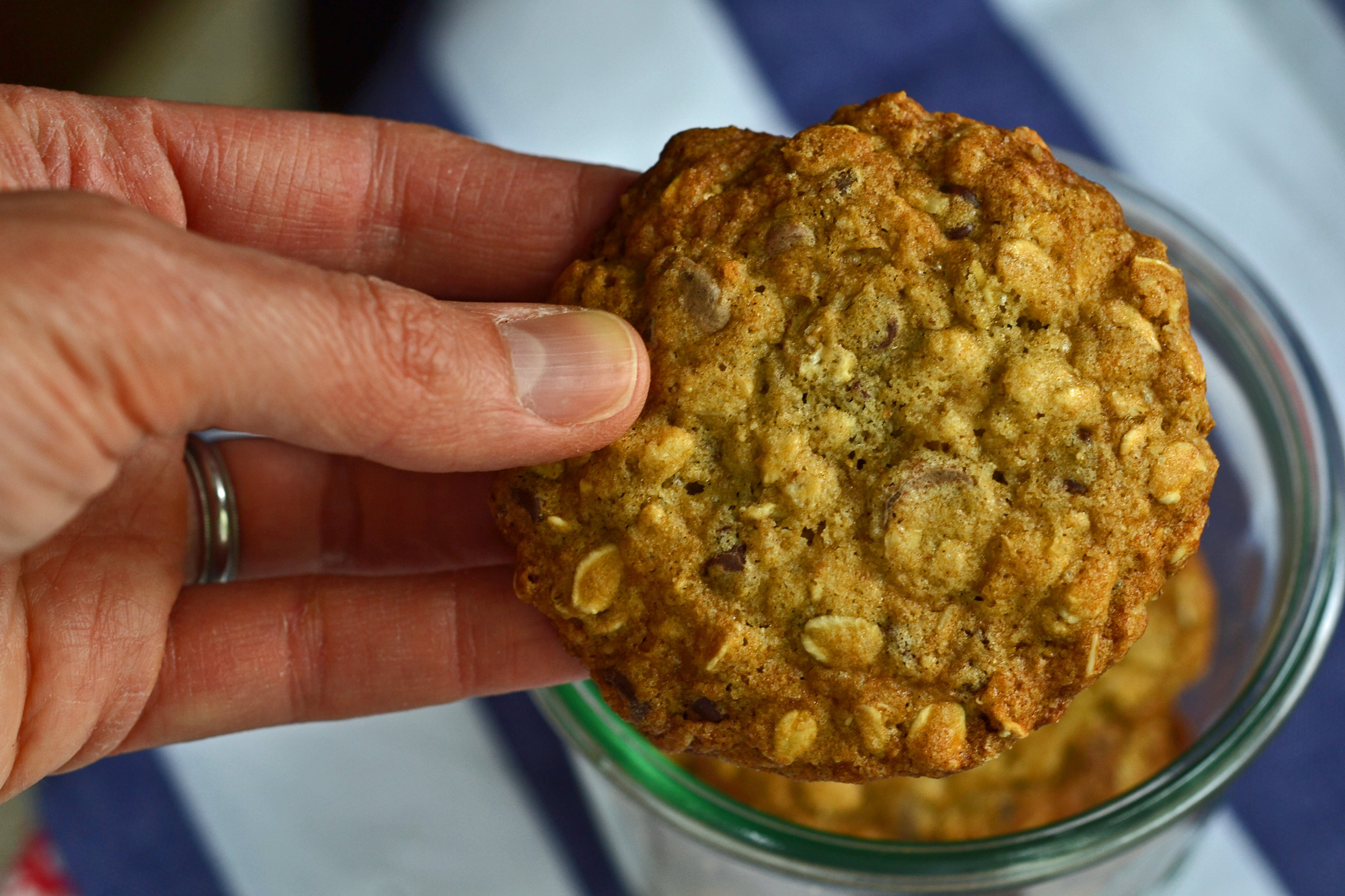 Thick & Chewy Oatmeal Chocolate Chip Cookies