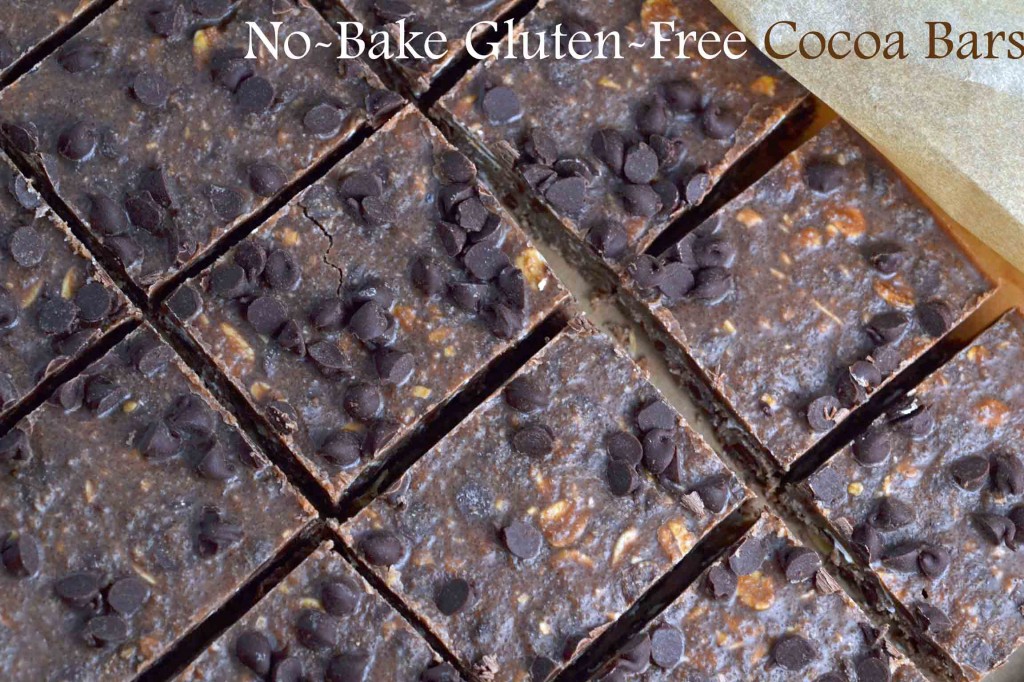 No-Bake Cocoa Bars
