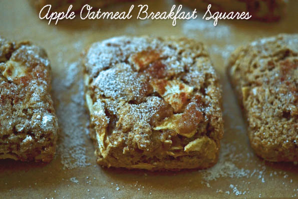 Apple Oatmeal Breakfast Squares
