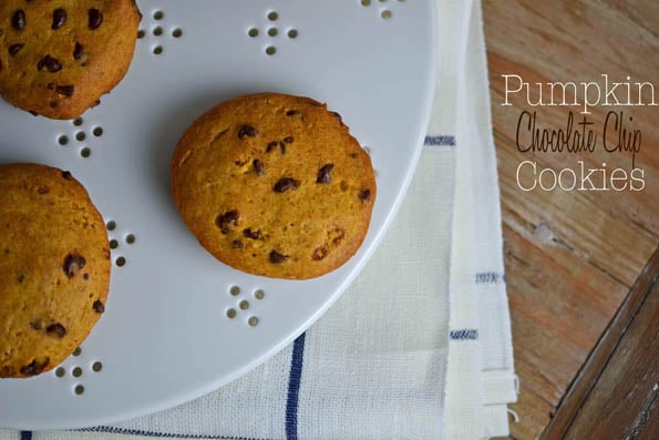 Soft Pumpkin Chocolate Chip Cookies