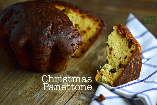 Christmas Panettone Bread II