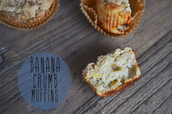Gluten Free Banana Oat Crumb Muffins