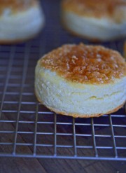 Gluten Free Biscuits: Cinnamon Bun style