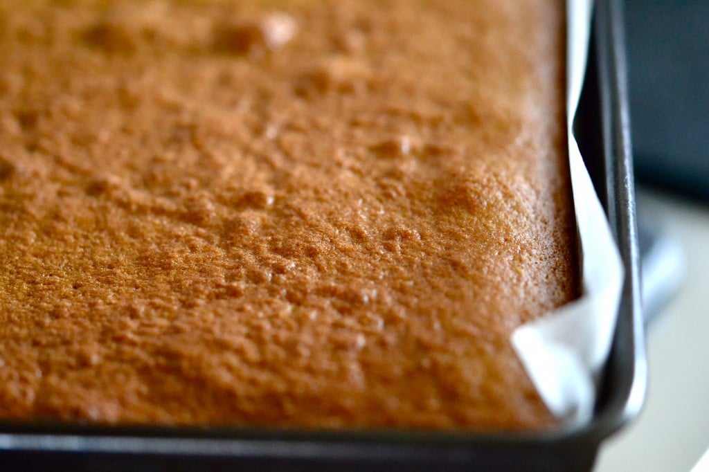 Pumpkin cake in dish