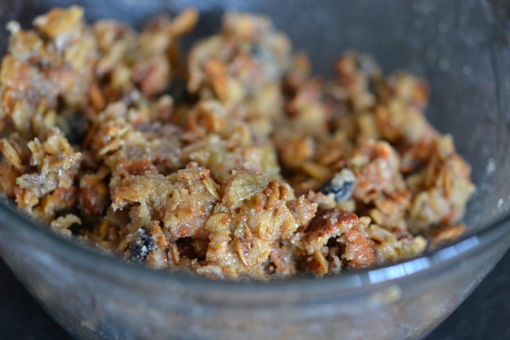 A close up of granola in a bowl 