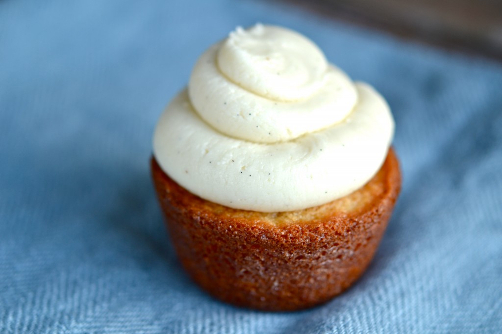 Cupcake with white chocolate frosting  on blue surface 