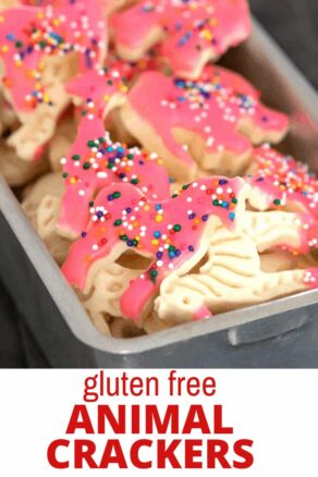 Gluten Free Animal Crackers | Just Like Nabisco Brand