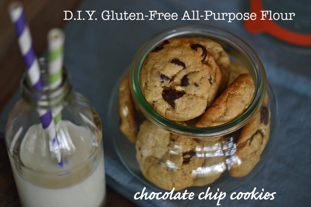 D.I.Y. All-Purpose Gluten-Free Flour Blend Recipe