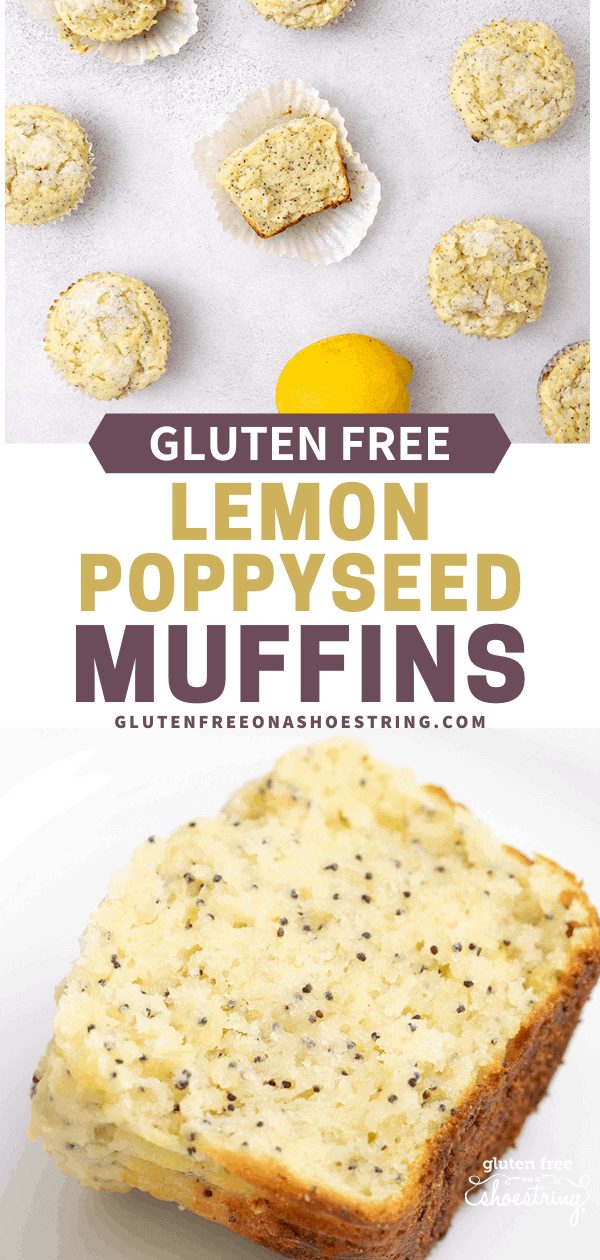 Lemon Poppyseed Muffins in an array overhead, and one single half muffin on a white plate