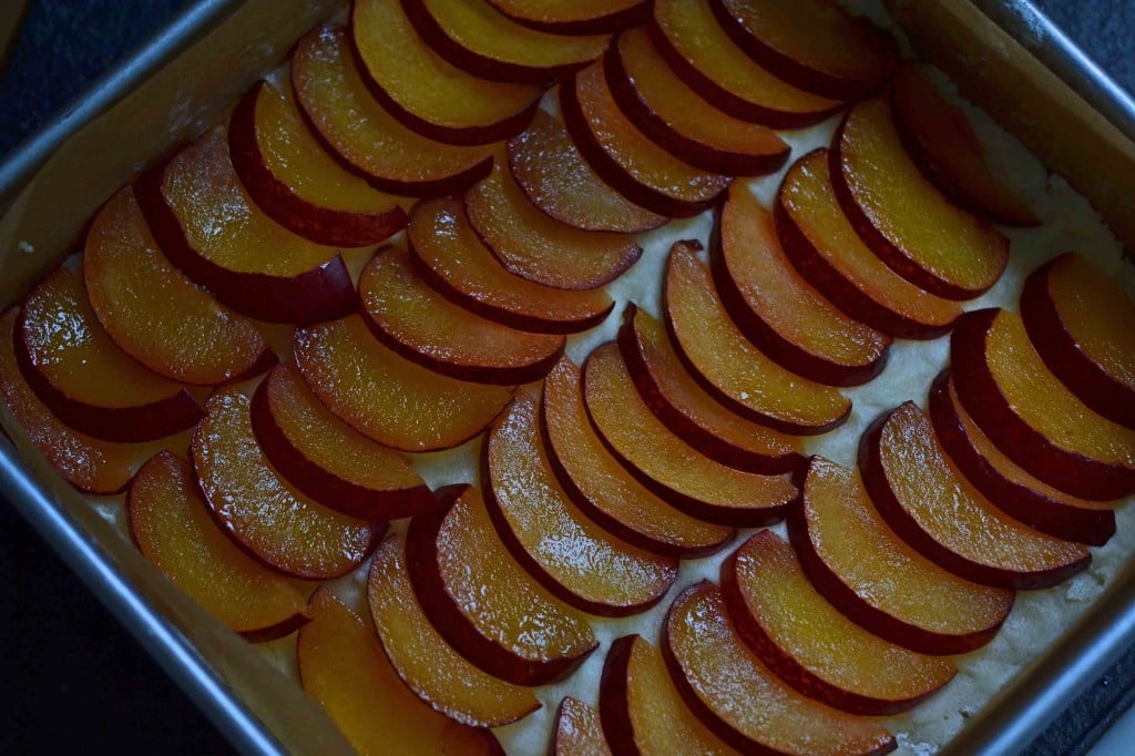 Rows of sliced plums 