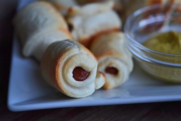 A close up a pig in a blanket