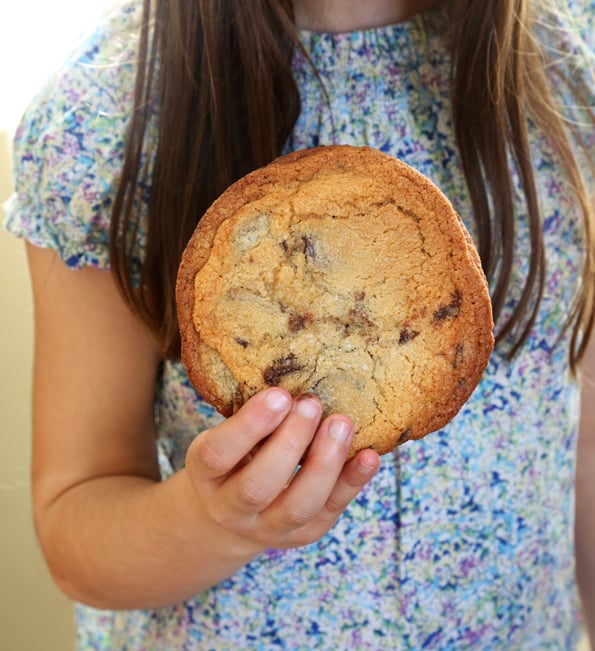 A young girl holding a big chocolate chip cookie