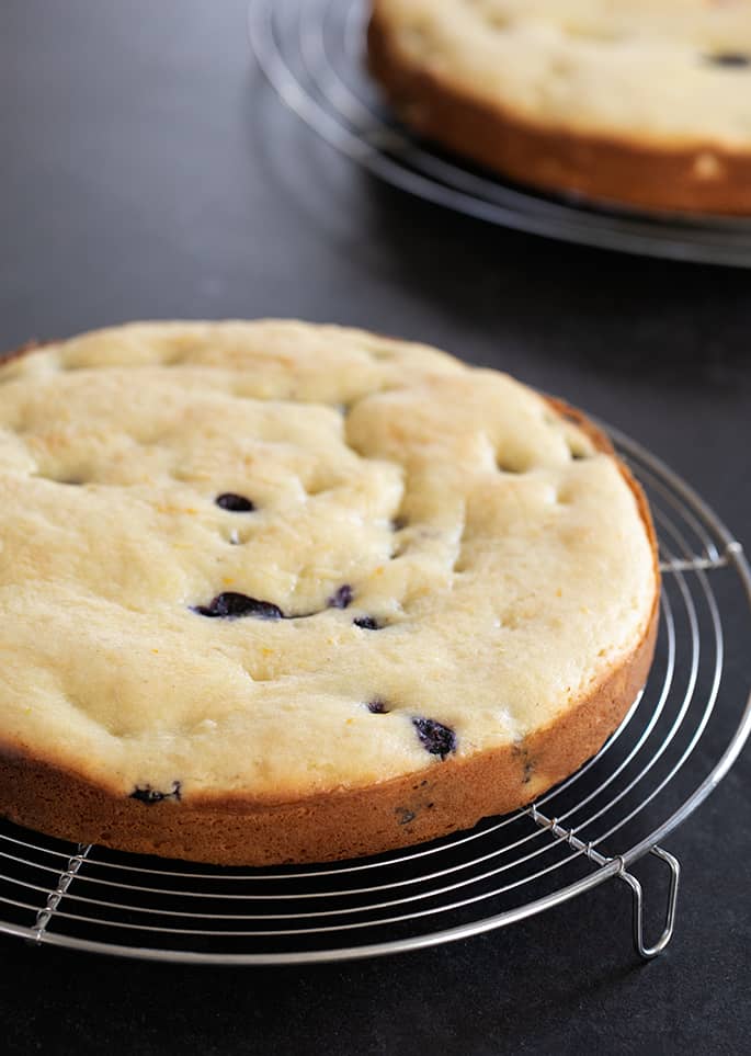 Gluten free lemon blueberry cake layers baked and unfrosted. 