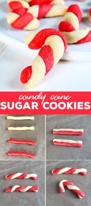 Gluten Free Candy Cane Sugar Cookies - Gluten Free on a Shoestring