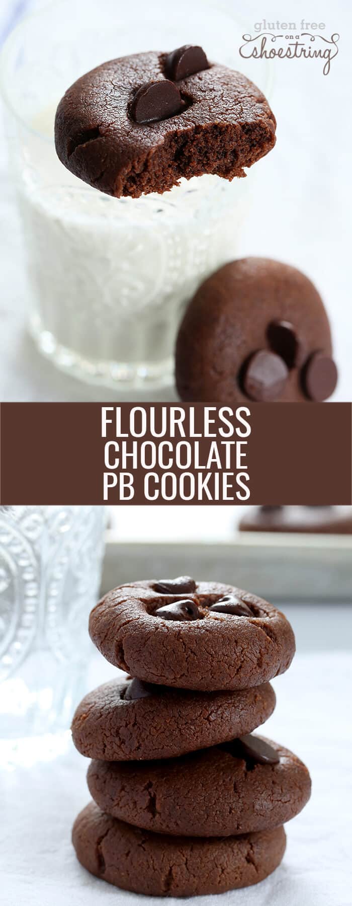 These flourless chocolate peanut butter breakfast cookies are gluten free, grain free, dairy free, packed with protein and a great start to the day!