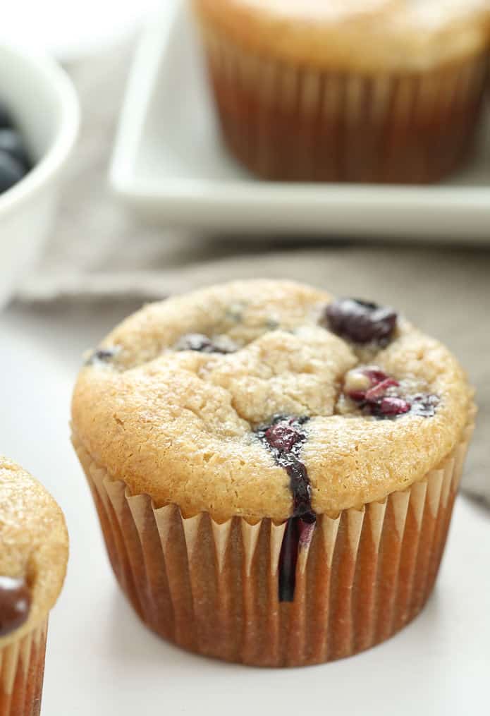 Moist and tender Paleo muffins made completely flourless with cashews, applesauce, eggs and honey. Add your favorite mix-ins, like blueberries or chocolate chips!