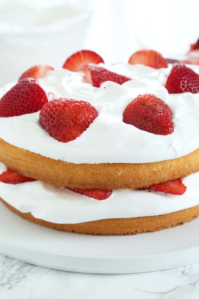 close up of a sponge cake with 2 stacks on a white plate