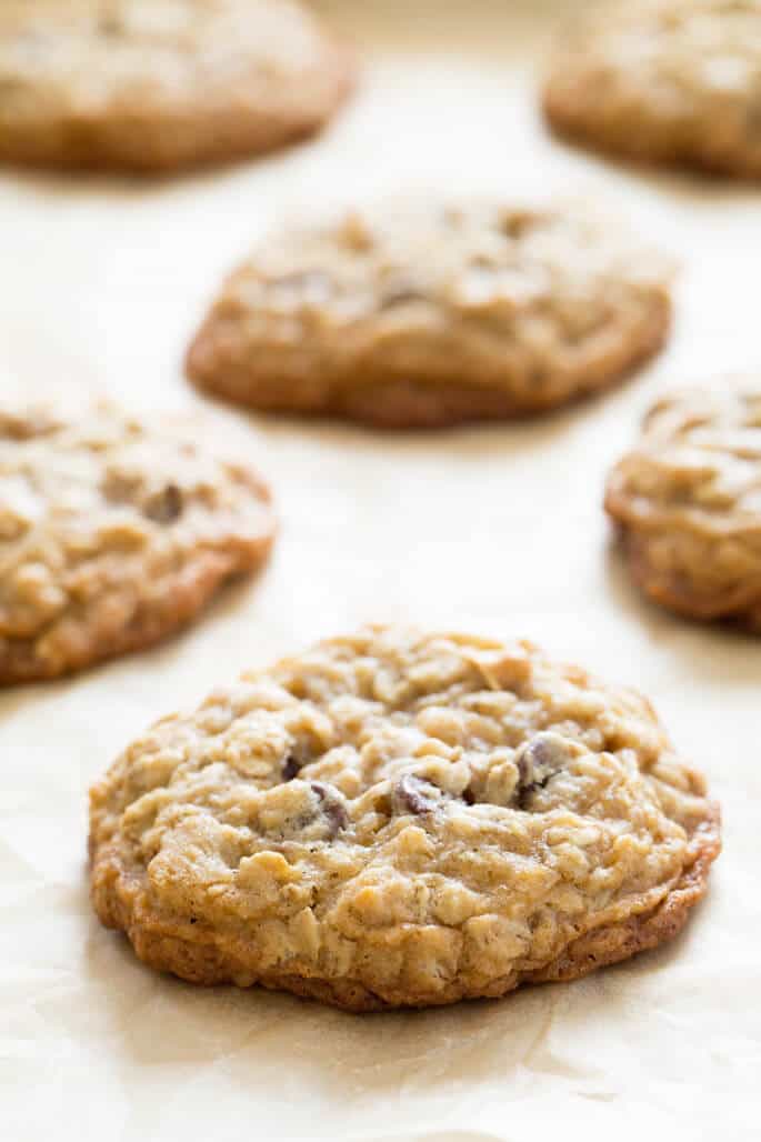 Closeup image of baked round cookie with oats and chocolate chips on brown paper