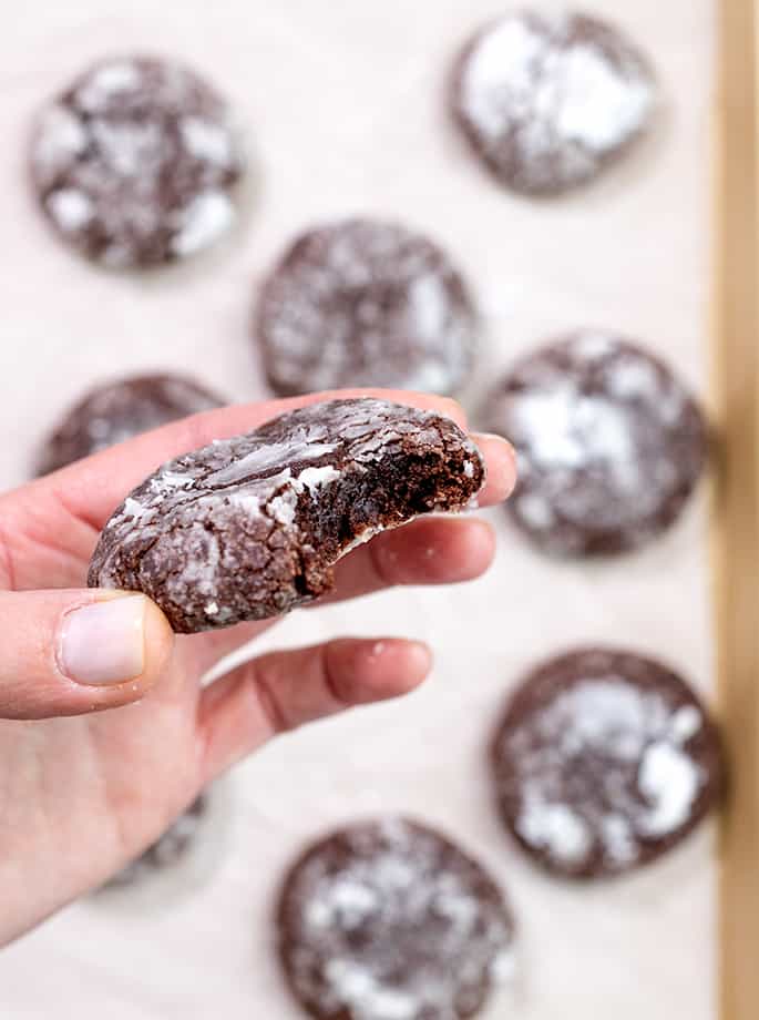 Hand holding chocolate crinkle cookie with bite taken