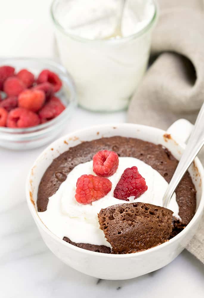 Almond Butter Chocolate Mug Cake (Low-Carb, Paleo) - The Harvest Skillet