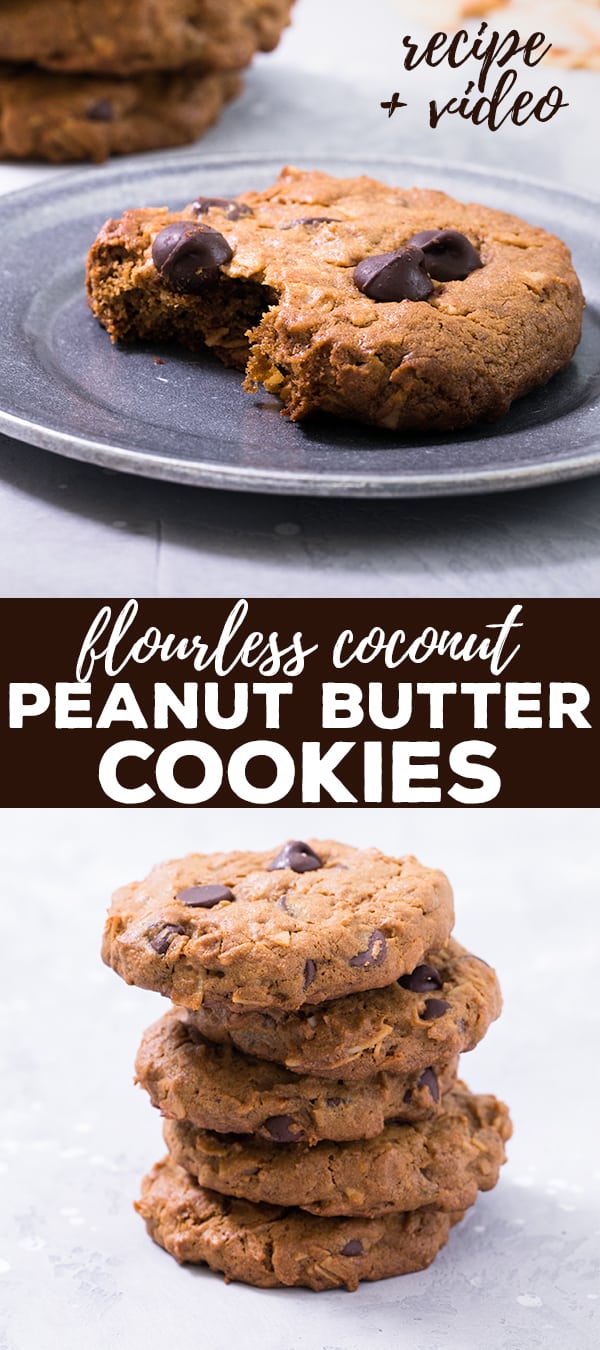 These flourless coconut peanut butter cookies are low in sugar, packed with protein and take just minutes to throw together. They're naturally grain-free and dairy-free, too! #dairyfree #grainfree #glutenfree #flourless