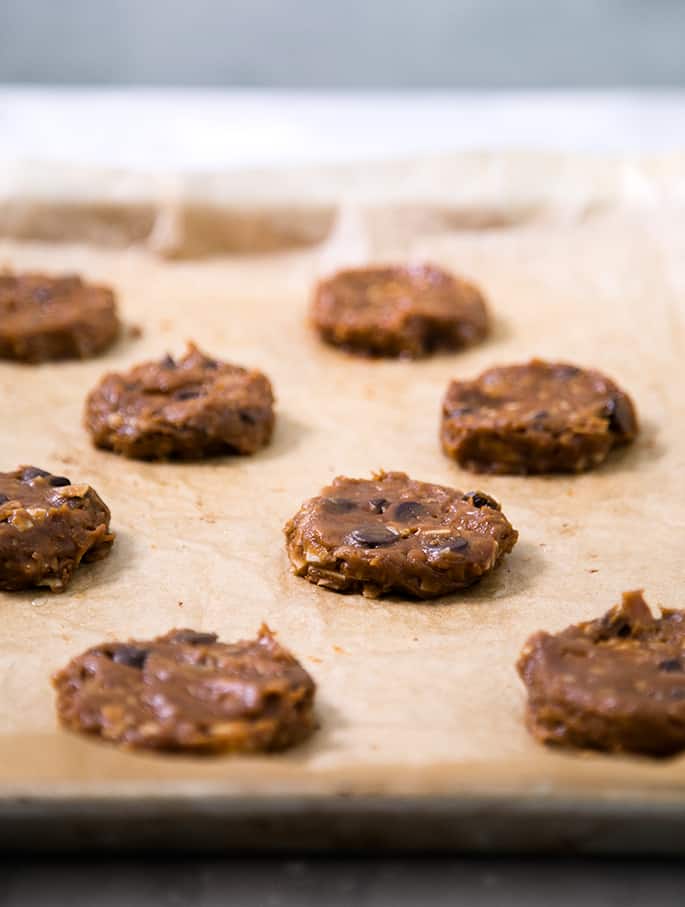 These flourless coconut peanut butter cookies are low in sugar, packed with protein and take just minutes to throw together. They're naturally grain-free and dairy-free, too!