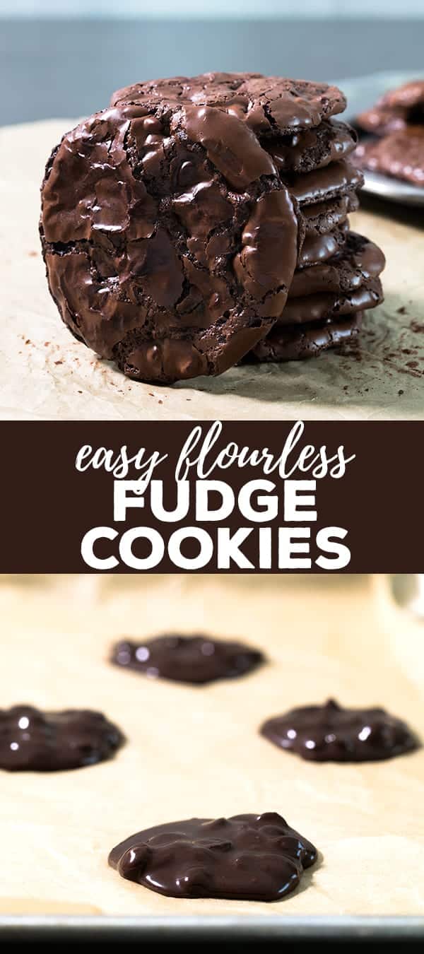 These easy flourless fudge cookies are made with egg whites, sugar, cocoa powder and chocolate chips. Crisp on the edges, and chewy inside. Packed with chocolate flavor!