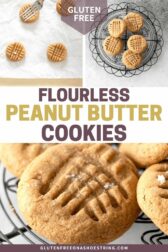 Flourless Peanut Butter Cookies