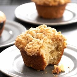 gluten free muffins on small round plates