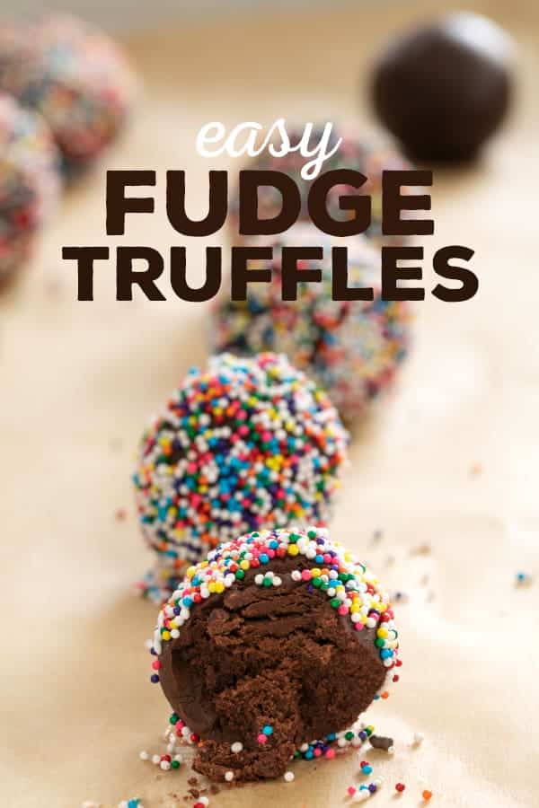 A close up of a fudge truffle with a bite taken