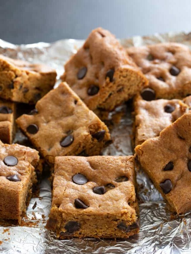 Gluten Free Pumpkin Chocolate Chip Squares