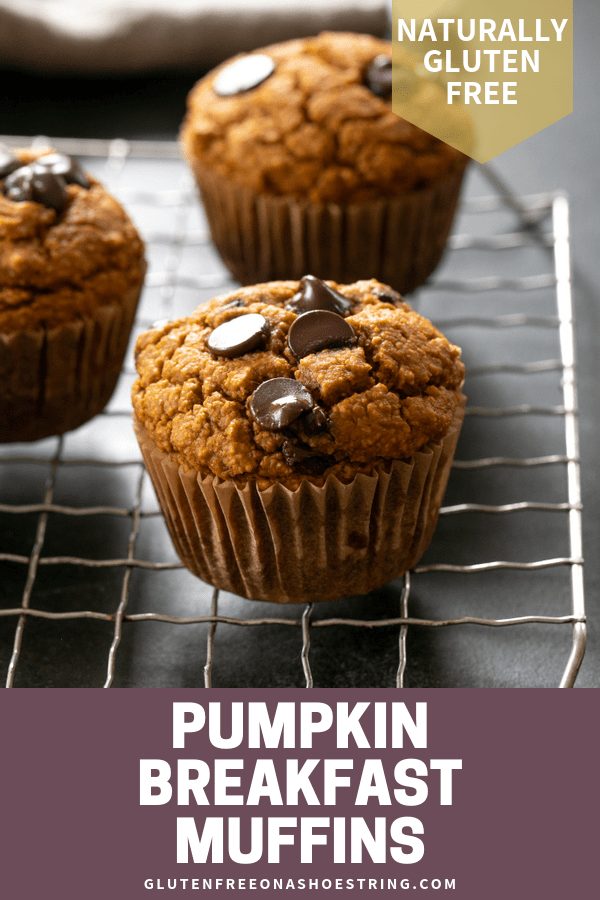 These healthy pumpkin breakfast muffins, with just a few chocolate chips, are freezer-friendly, lightly sweet, and naturally gluten free. Make a double batch!