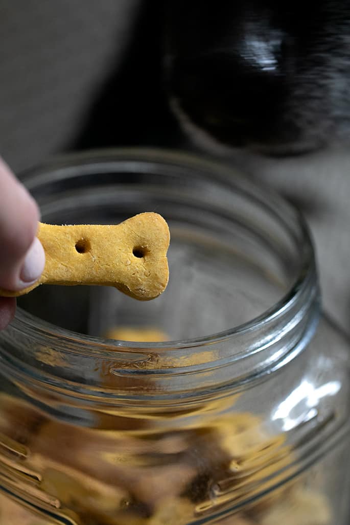 Image of one crunchy gluten free dog treat with a dog in the background.