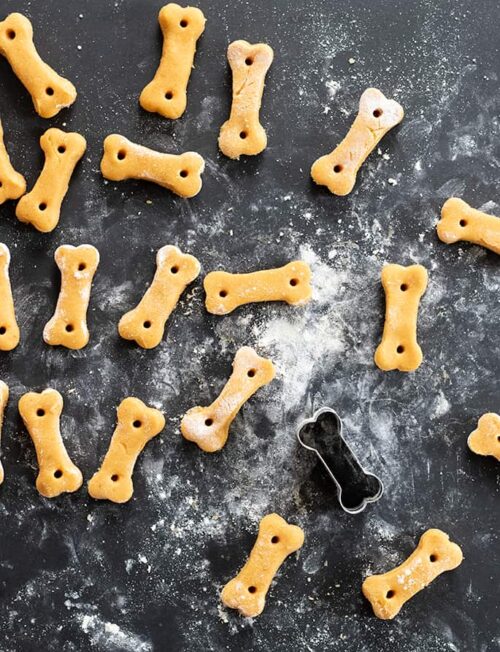 Crunchy Gluten Free Dog Treats | Just 4 Ingredients - Easy Dairy-Free Treats For Dogs