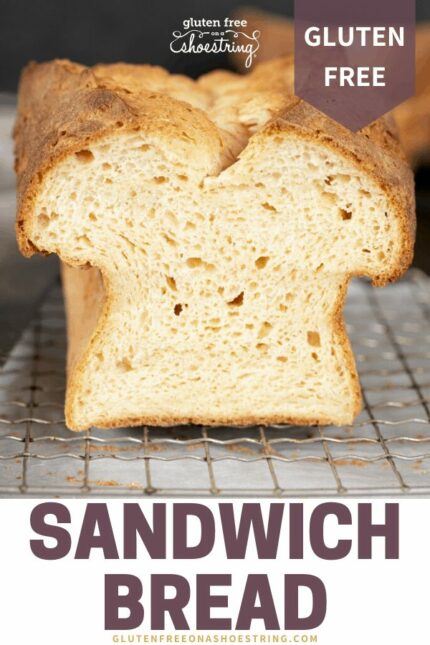 Rice Free Bread Recipe | Tom's Sandwich Bread