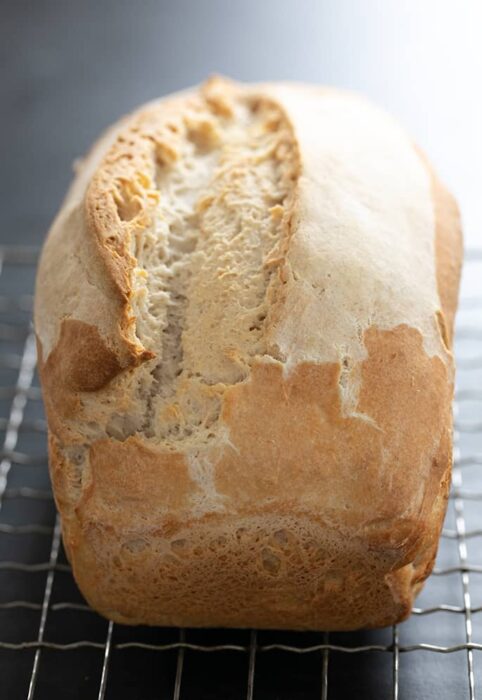 Gluten Free Sourdough Bread | No "Regular" Yeast