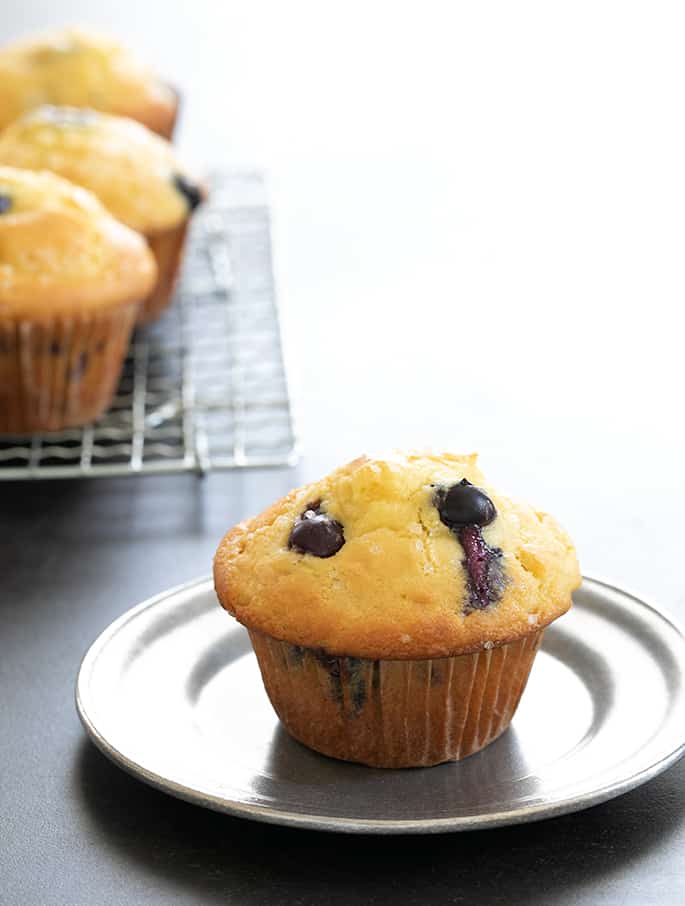 One single gluten free blueberry muffin with rice flour pictured on a plate being served.