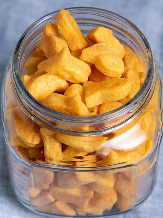 How To Make Gluten Free Goldfish Crackers Gluten Free on a Shoestring