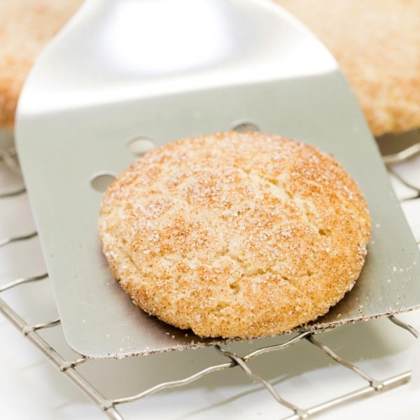 gluten free snickerdoodles on spatula