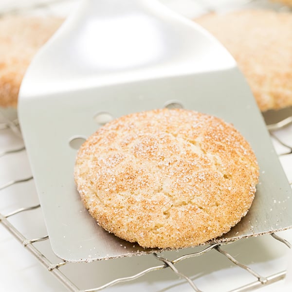 gluten free snickerdoodles on spatula