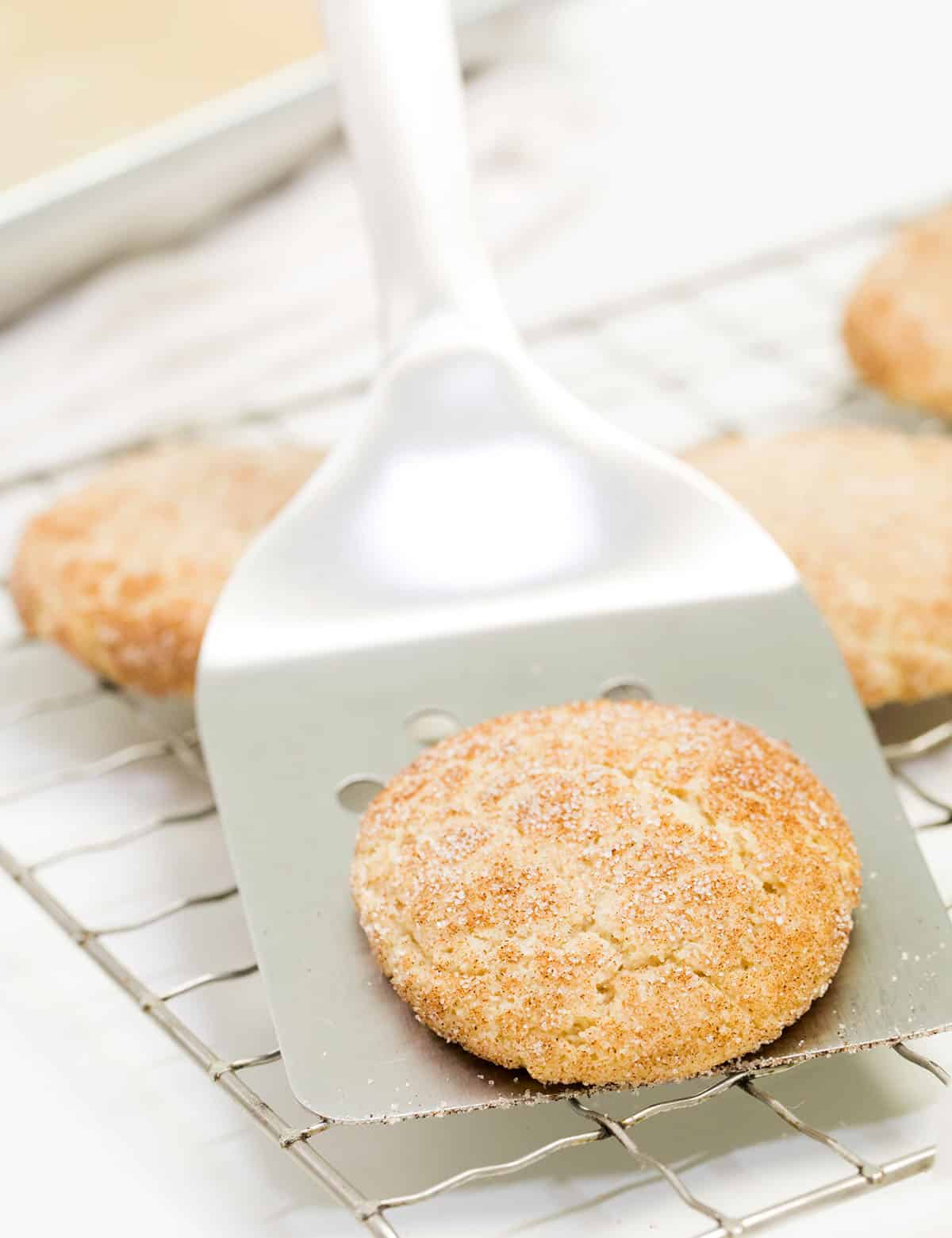 A metal spatula with a gluten free snickerdooles cookie on it